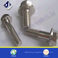 Flange Bolt with Blue Zinc Plated 10.9 for Automobile